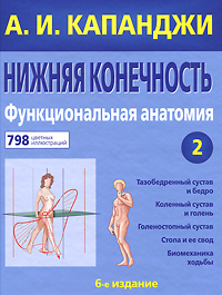 Нижняя конечность. Функциональная анатомия. Том 2. А. И. Капанджи Нижняя конечность. Функциональная анатомия. Том 2. А. И. Капанджи
