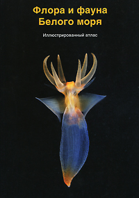 Флора и фауна Белого моря. Иллюстрированный атлас