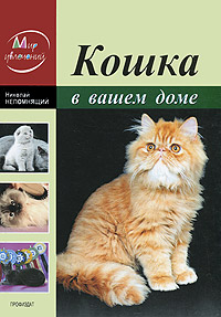 Кошка в вашем доме