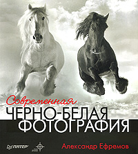 Современная черно-белая фотография. А. Ефремов
