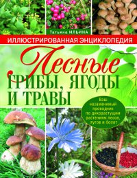 Лесные грибы, ягоды и травы. Татьяна Ильина
