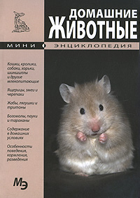 Домашние животные