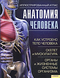 Анатомия человека. Иллюстрированный атлас