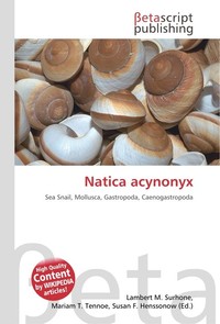 Natica acynonyx. Lambert M. Surhone Natica acynonyx. Lambert M. Surhone
