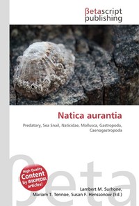 Natica aurantia. Lambert M. Surhone Natica aurantia. Lambert M. Surhone