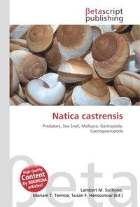 Natica castrensis. Lambert M. Surhone Natica castrensis. Lambert M. Surhone