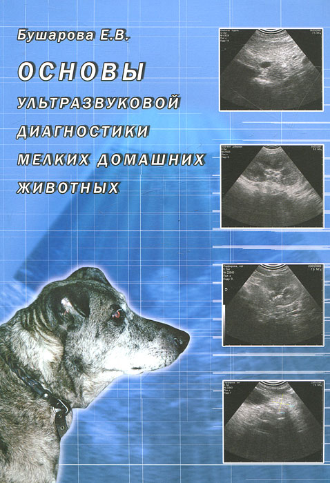 Основы ультразвуковой диагностики мелких домашних животных