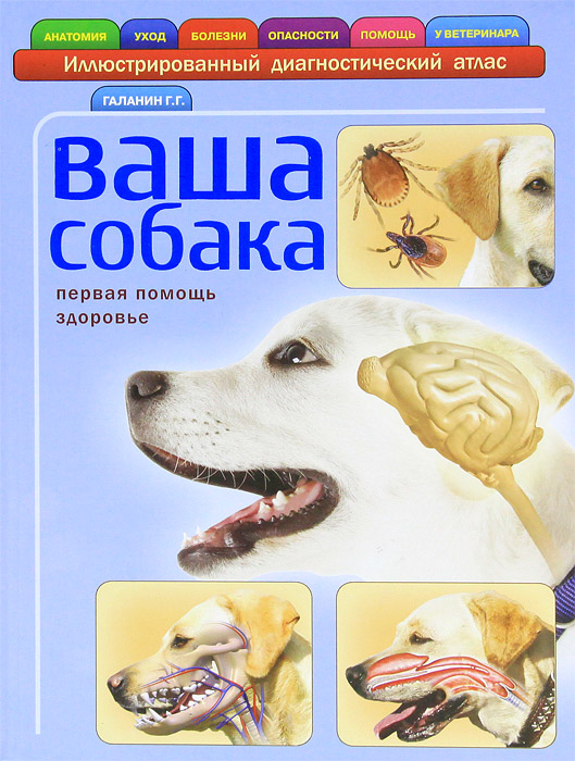 Ваша собака