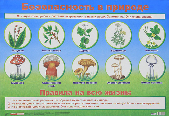 Безопасность на природе картинки для детей Безопасность на природе картинки для детей