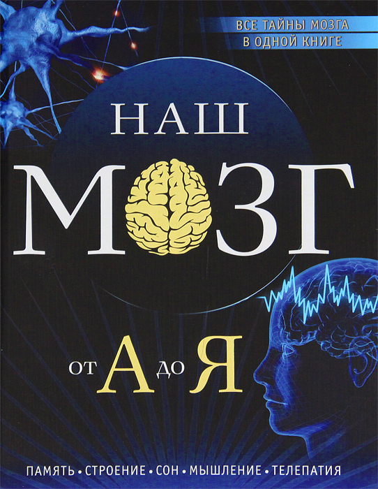 Наш мозг от А до Я. Андрей Дианов