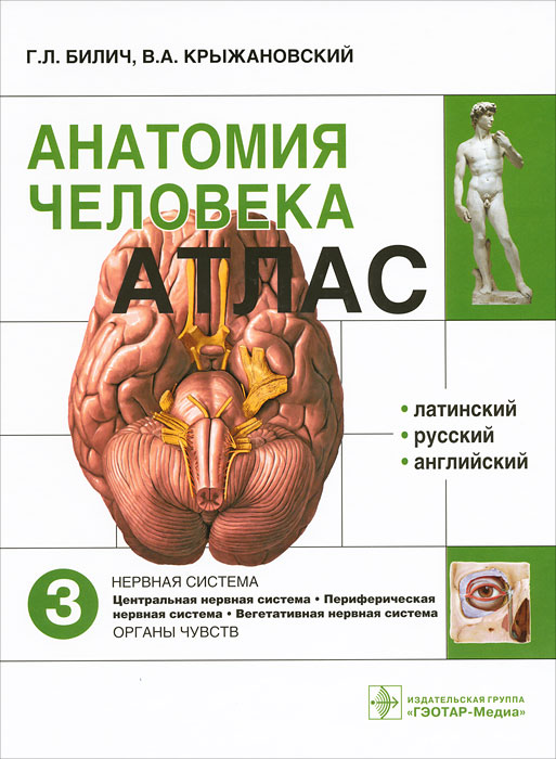 Анатомия человека. Атлас. В 3 томах. Том 3. Г. Л. Билич, В. А. Крыжановский