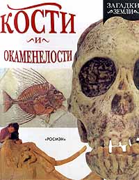 Кости и окаменелости12296407 Кости и окаменелости12296407Что такое окаменелости и как они образовались? Кто нашел самые древние отпечатки следов человека и каков их возраст? Кто такая Люси и чем она знаменита? У какого животного были 25 - сантиметровые зубы, изогнутые, как кинжалы? Существует ли на самом деле проклятие древнеегипетских мумий? Книга `Кости и окаменелости` рассказывает о том, как ученые составляют картину истории жизни на нашей планете по окаменевшим останкам ископаемых растений и животных и по костям обитавших на Земле живых существ, в том числеи человека. Если вам интересно узнать, как изменялась жизнь на протяжении миллионов лет и как возникло окружающее нас многообразие живой природы, тогда эта книга для вас. Автор, Сейвиор Пиротта, написал более 30 художественных и научно - познавательных книг для детей. Они переведены на десять языков. В серии `Загадки Земли` уже вышла одна из его книг - `Пираты и сокровища`. Консультант, Сюзанна ван Роуз, геолог и палеонтолог, выпустила несколько книг о палеонтологии для детей. Сейчас...