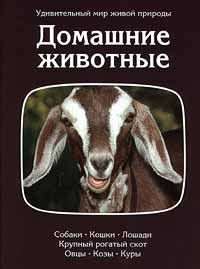 Домашние животные12296407 Домашние животные12296407В книге рассказывается о животных, прирученных человеком в процессе развития цивилизации, - овцах, свиньях, лошадях, собаках, кошках и т.д., служащих пищей и средством передвижения, развлекающих и спасающих от одиночества. Текст дополнен красочными иллюстрациями и отрывками из художественных произведений.