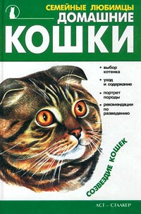 Домашние кошки