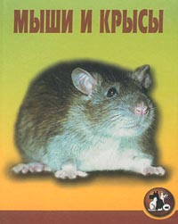 Мыши и крысы