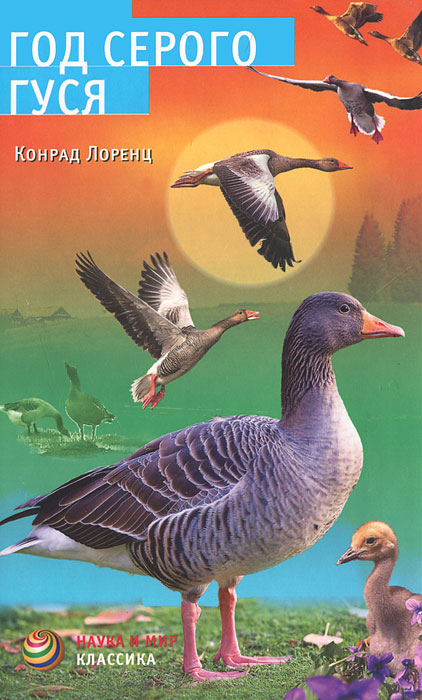 Год серого гуся. Конрад Лоренц