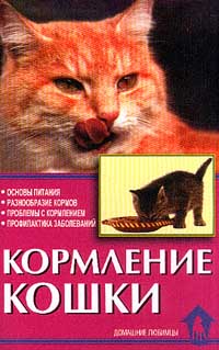 Кормление кошки