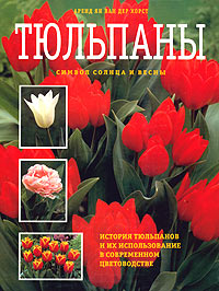 Тюльпаны