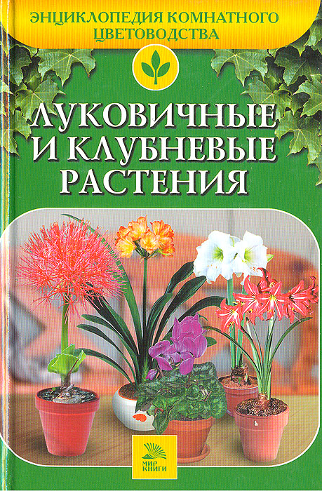 Луковичные и клубневые растения
