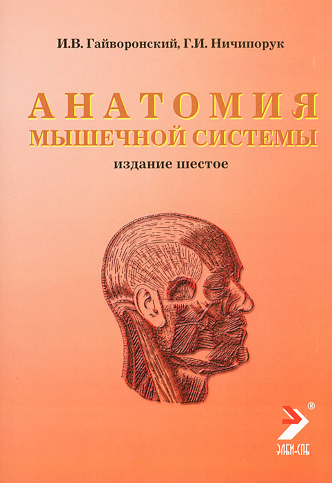 Анатомия мышечной системы. И. В. Гайворонский, Г. И. Ничипорук Анатомия мышечной системы. И. В. Гайворонский, Г. И. Ничипорук