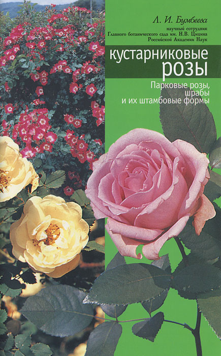 Кустарниковые розы (парковые розы, шрабы, штамбовые формы)