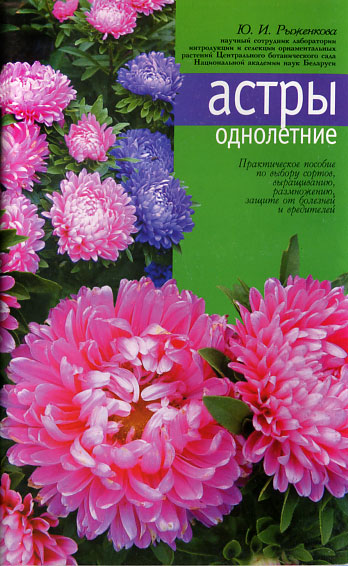 Астры однолетние