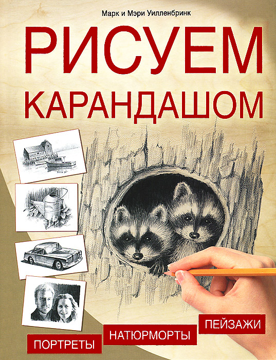 Мастер класс картины из шерсти.валяные картины Мастер класс картины из шерсти.валяные картины