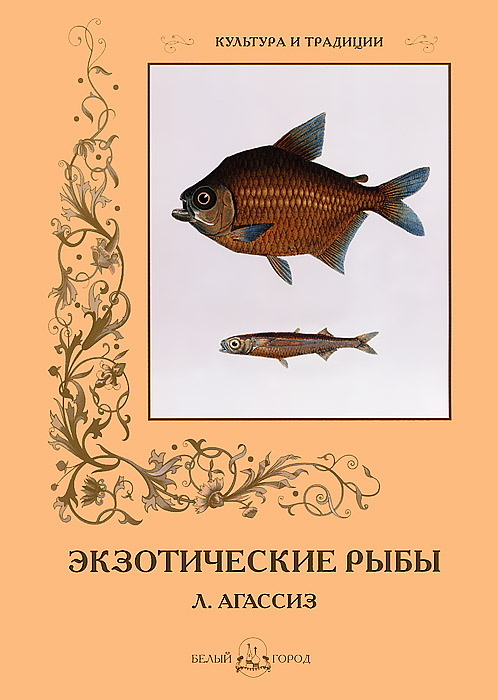 Экзотические рыбы Л. Агассиз