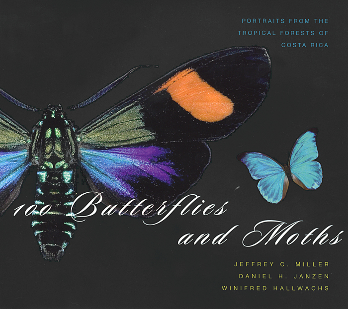 100 Butterflies and Moths: Portraits from the Tropical Forests of Costa Rica