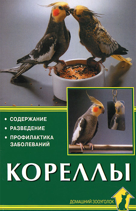 Читать в школе примеры