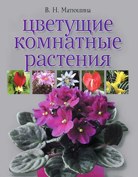 Цветущие комнатные растения