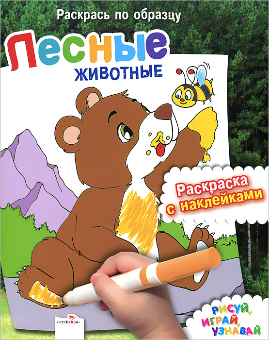 Раскраска домашние предметы Раскраска домашние предметы