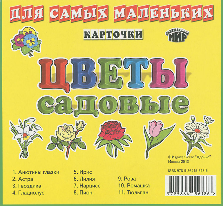 Цветы садовые (набор из 11 карточек)