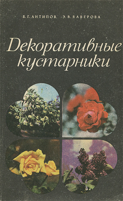 Декоративные кустарники Декоративные кустарники