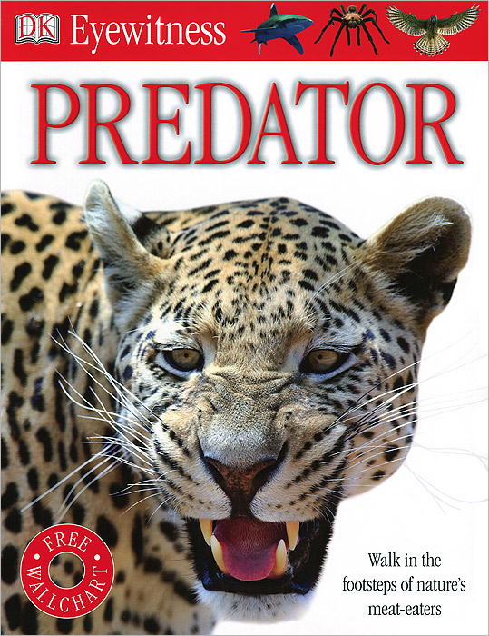 Predator12296407 Predator12296407DK Eyewitness Predator is a brand new topic for this bestselling reference series. Amazing colour photographs offer your child a unique eyewitness view of the natural worlds largest, fastest and most lethal predators. Show your child the incredible array of weapons, tactics, defences, and disguises used by animals in their battle for survival. Theyll also discover that every animal is either a predator or prey and how important maintaining this balance is in particular ecosystems. Then use the giant pull-out wall chart to decorate their room.
