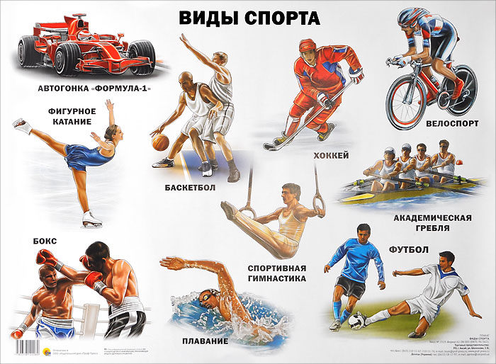 Виды спорта. Плакат