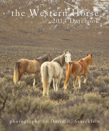 2014 Western Horse Datebook David R. Stoecklein, David Stocklein купить читать скачать онлайн - BookMix.ru