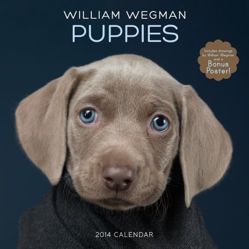 William Wegman Puppies 2014 Wall Calendar William Wegman купить читать скачать онлайн - BookMix.ru