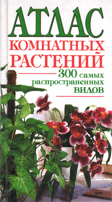 Атлас комнатных растений. 300 самых распространенных видов