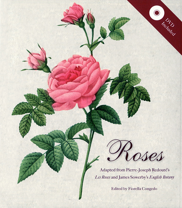 Roses (+ DVD)