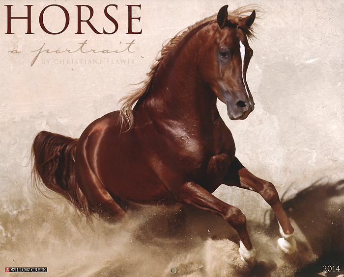 Horse: A Portrait 2014 Wall Calendar