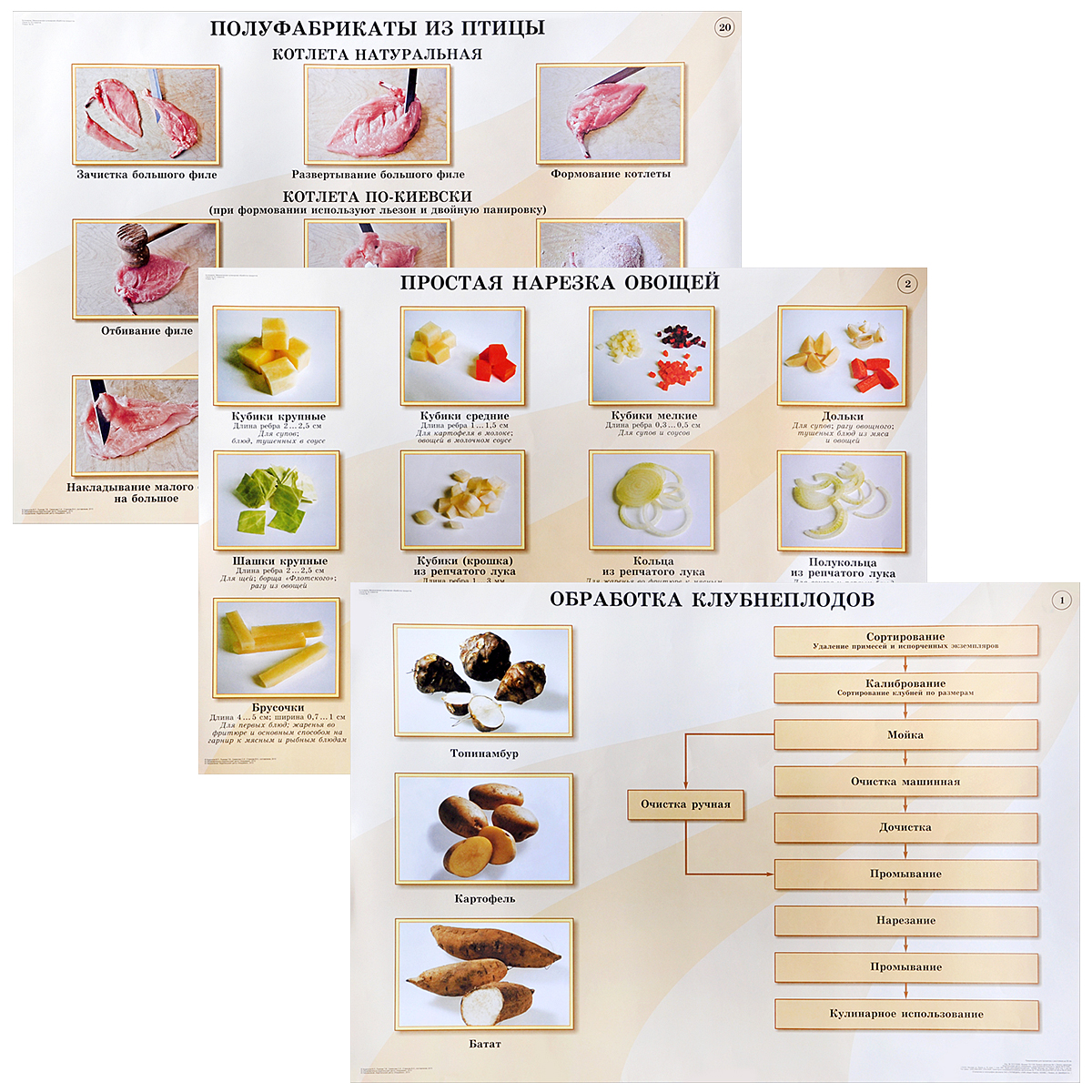 Кулинария. Механическая кулинарная обработка продуктов (комплект из 20 плакатов)