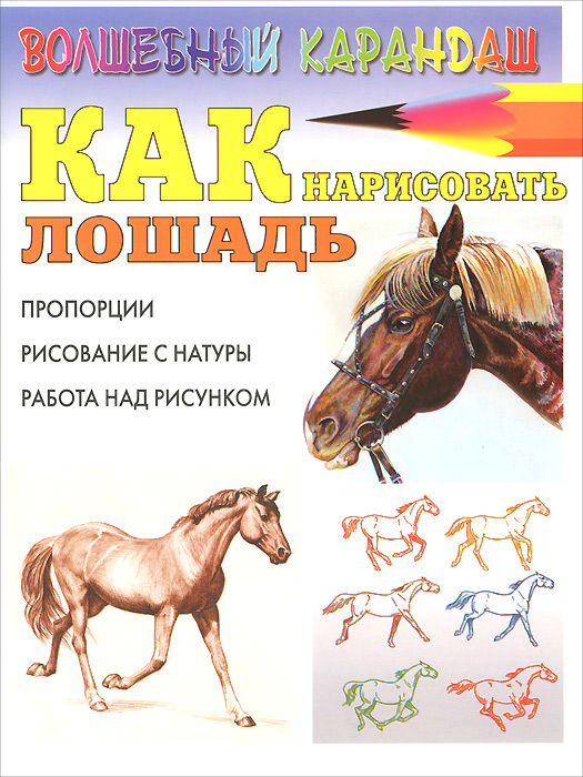 Как нарисовать лошадь Как нарисовать лошадь