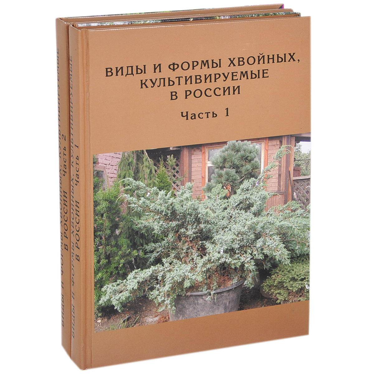 Виды и формы хвойных, культивируемые в России (комплект из 2 книг)