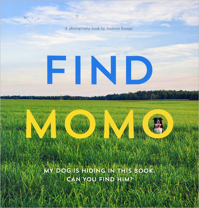 Find Momo: My Dog is Hiding in the Book: Can You Find Him?