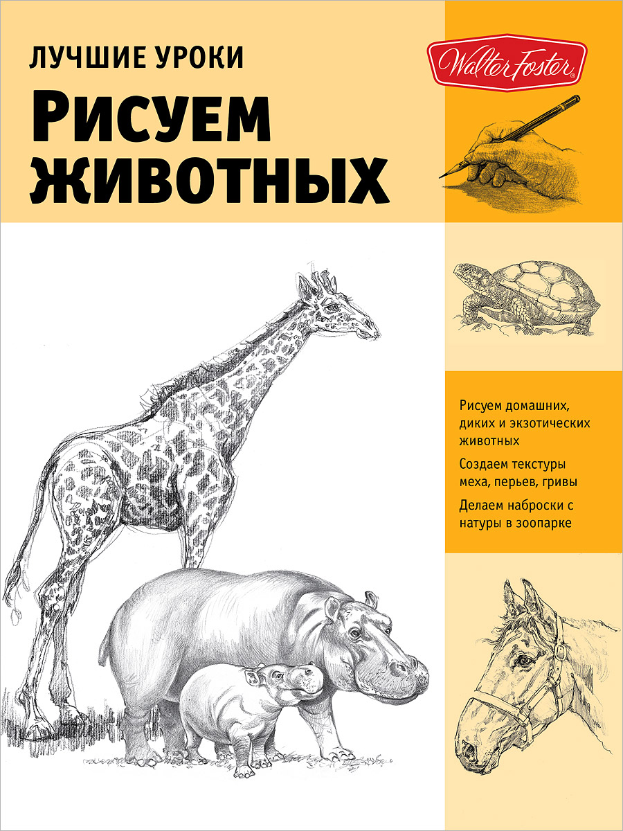 Рисовать животных и кошек Рисовать животных и кошек