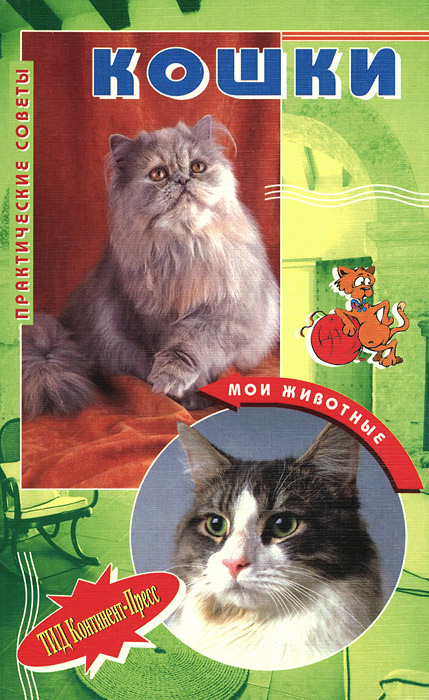 Кошки. Практические советы