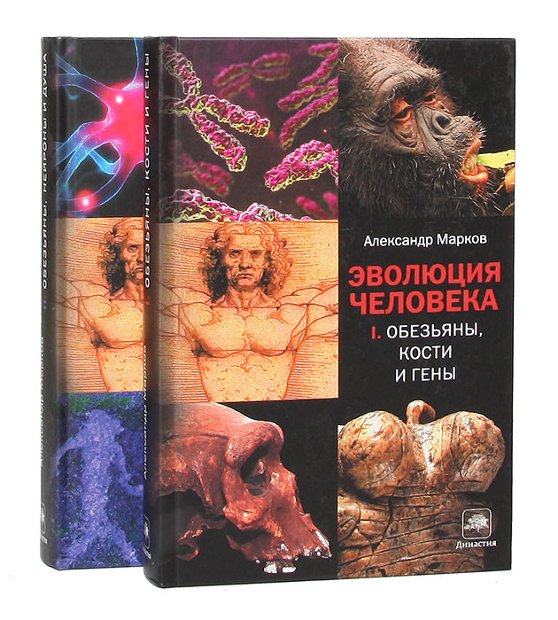 Эволюция человека (комплект из 2 книг)