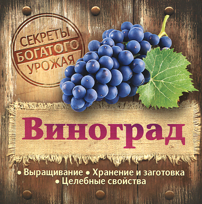 Виноград. Выращивание. Хранение и заготовка. Целебные свойства Виноград. Выращивание. Хранение и заготовка. Целебные свойства