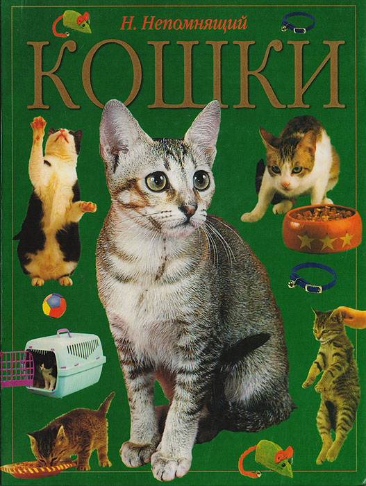 Кошки